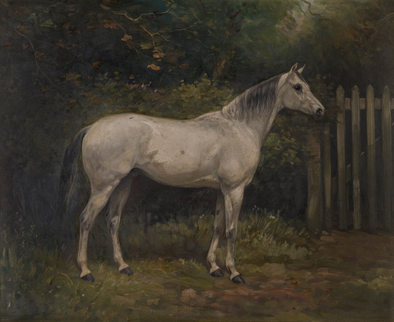Pickles: pony Basuto, kolem roku 1904 (olej na plátně) od William Josiah Redworth