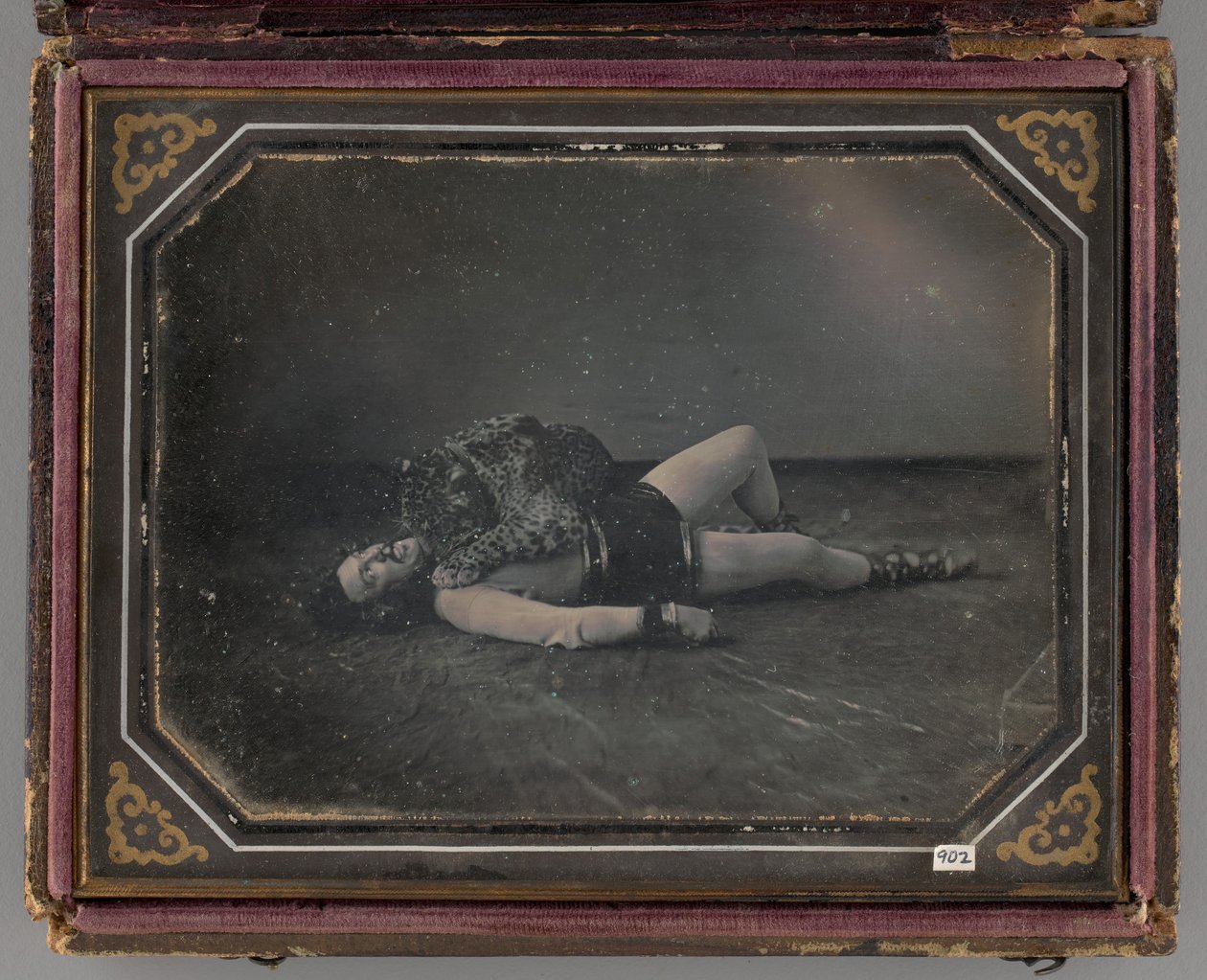 Bez názvu Portrét krotitele divokých zvířat Jacoba Driesbacha s Jaguarem, 1850 od William Langenheim