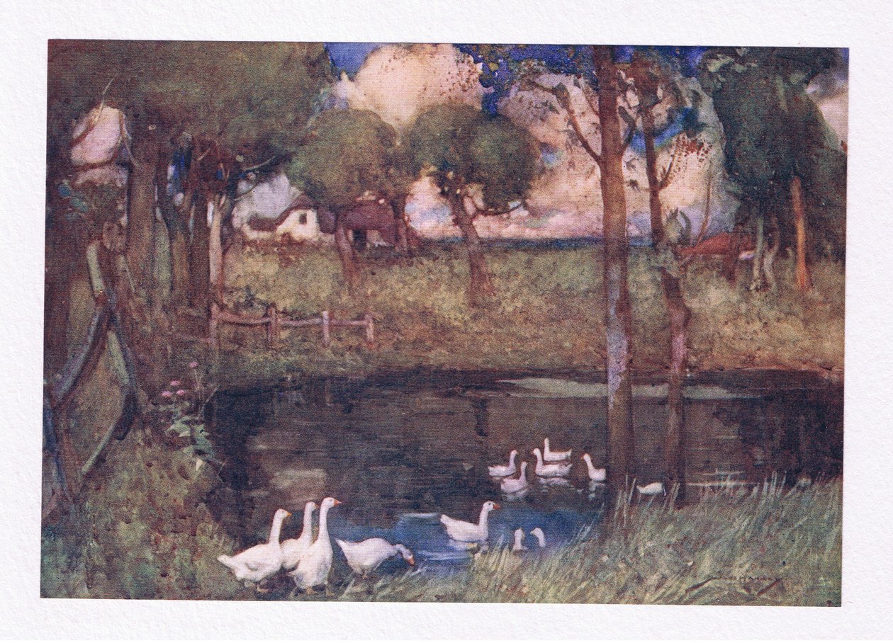 Hlučné husy, které klopýtaly nad bazénem (barva litho) od William Lee Hankey