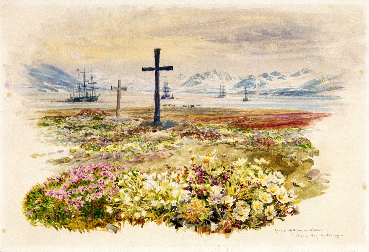 Search Bay (Research Bay, Tasmánie, Austrálie), dva kříže zasazené v záhonech s loděmi v dálce. Akvarel od William Lionel Wyllie