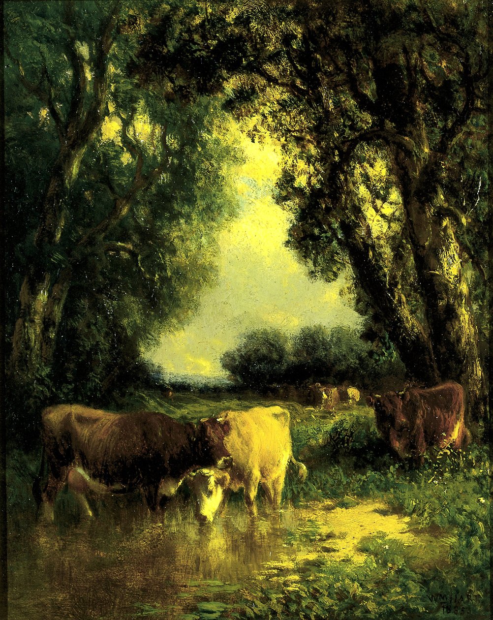 Tiché zákoutí od William M. Hart