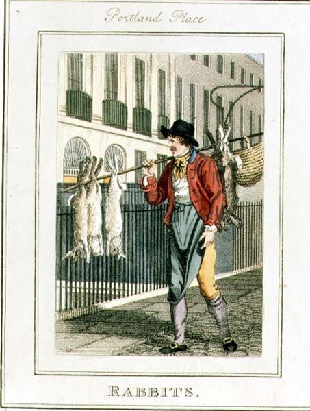 Králíci, Portland Place, z 