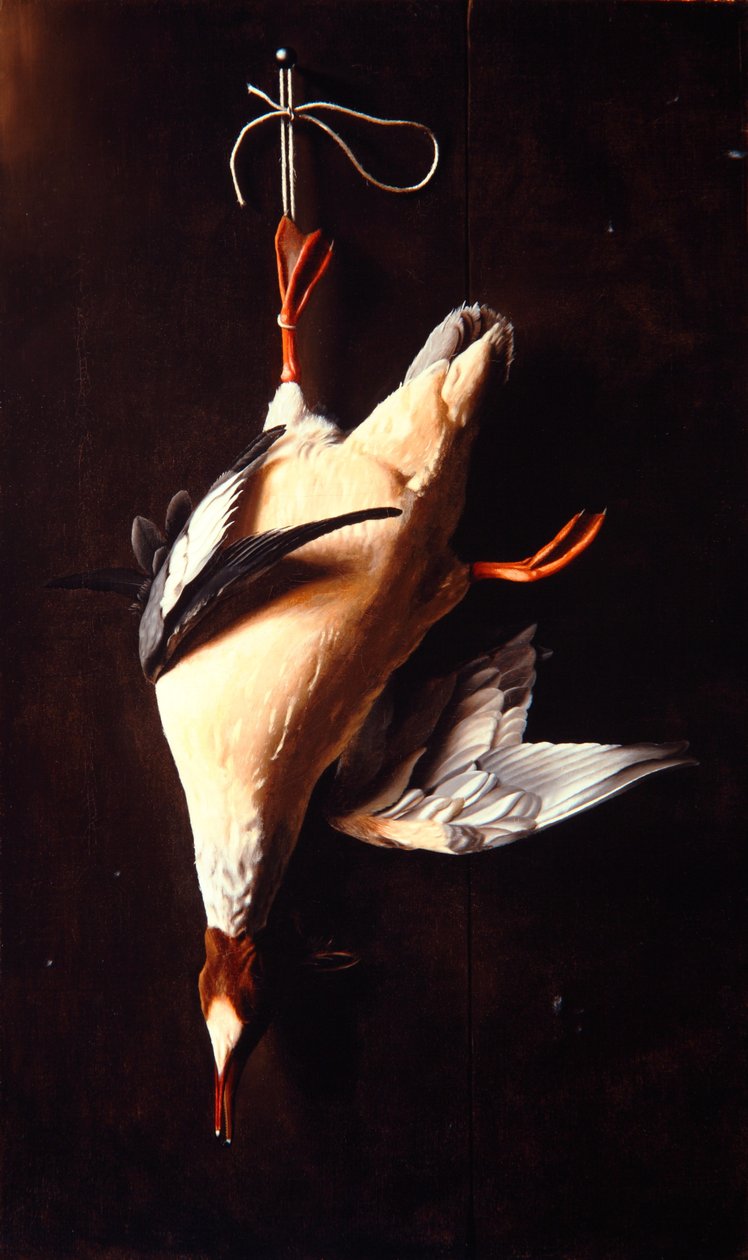 Merganser od William Michael Harnett