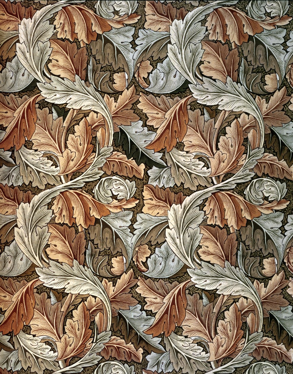 Tapeta Acanthus, navrhl William Morris (1834-96) od William Morris