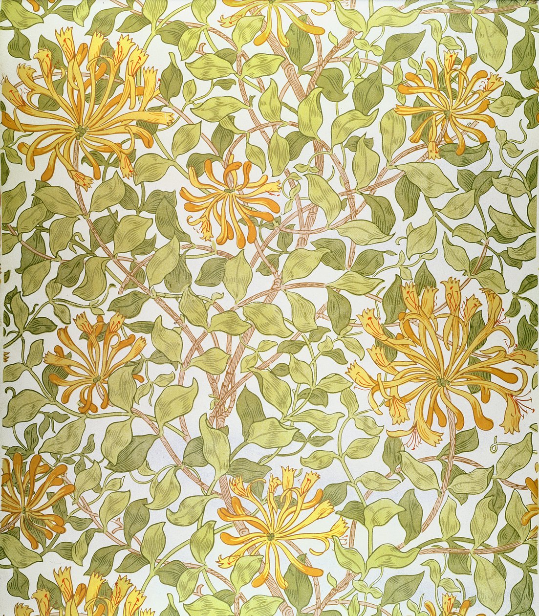 Design "Honeysuckle", 1883 od William Morris