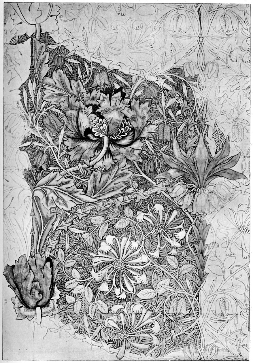 Vzor zimolezu tištěný na plátně, 1883 1934. od William Morris
