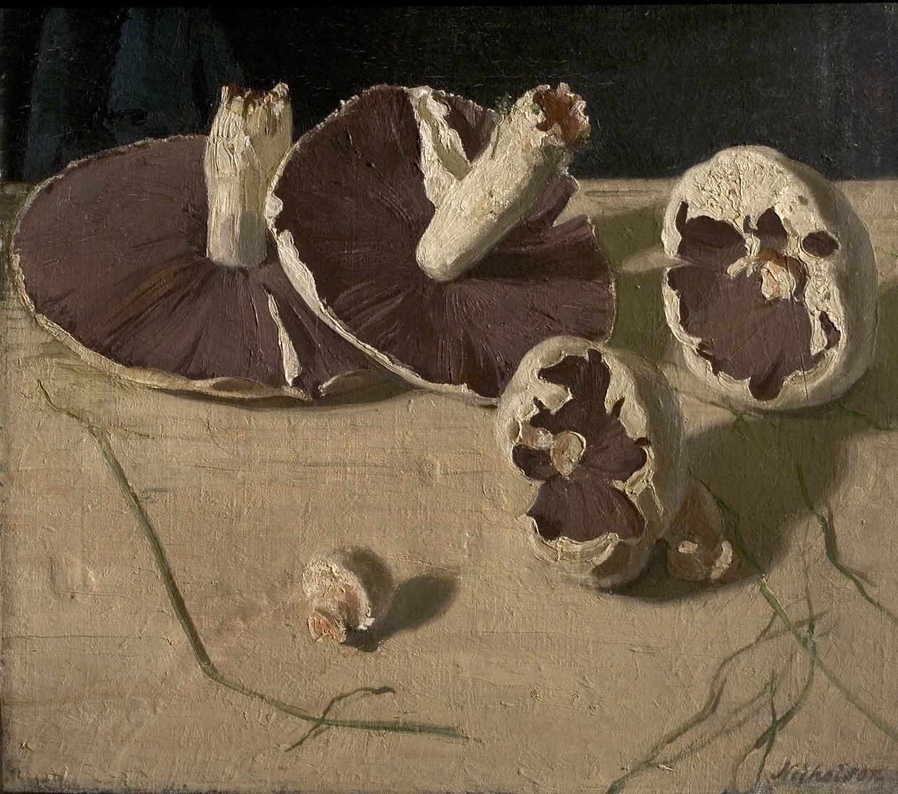 Houby od William Nicholson
