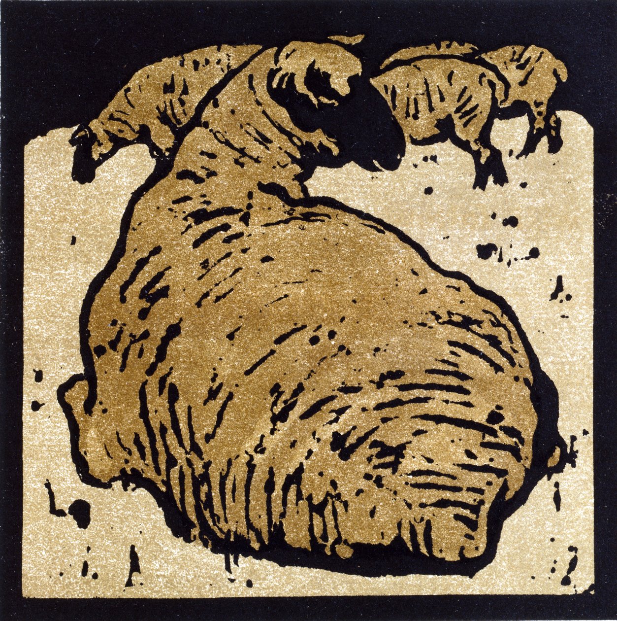 The Simple Sheep, ilustrace z 