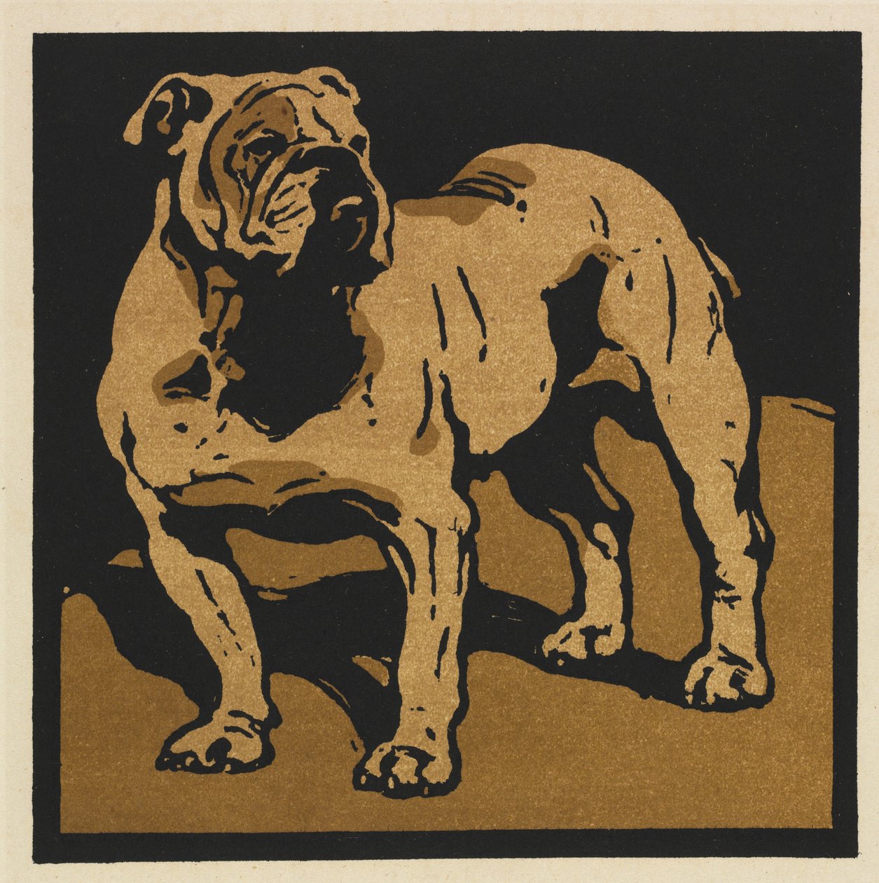 The Square Book of Animals: The British Bull-Dog od William Nicholson