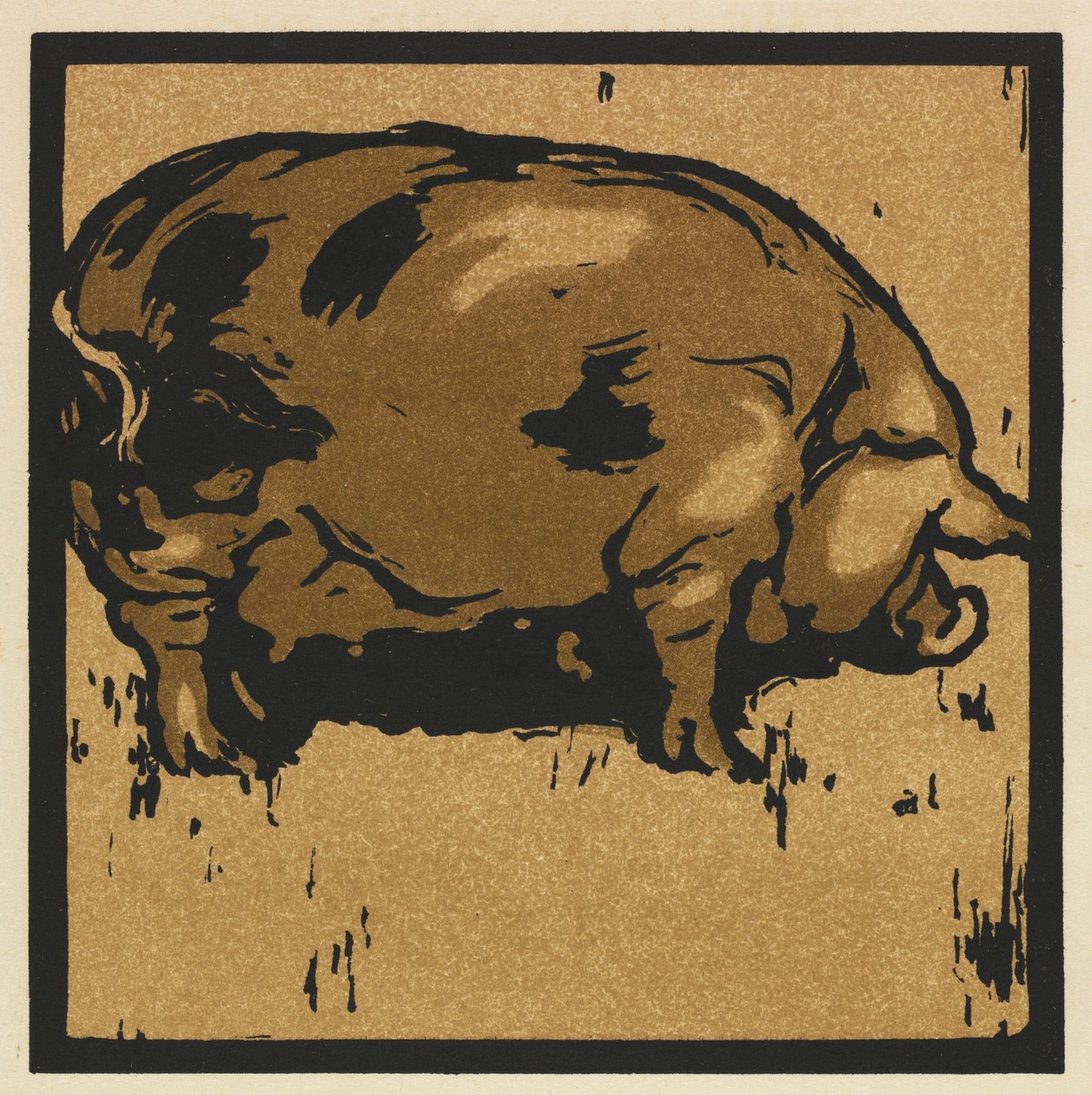 Čtvercová kniha zvířat: Učené prase od William Nicholson