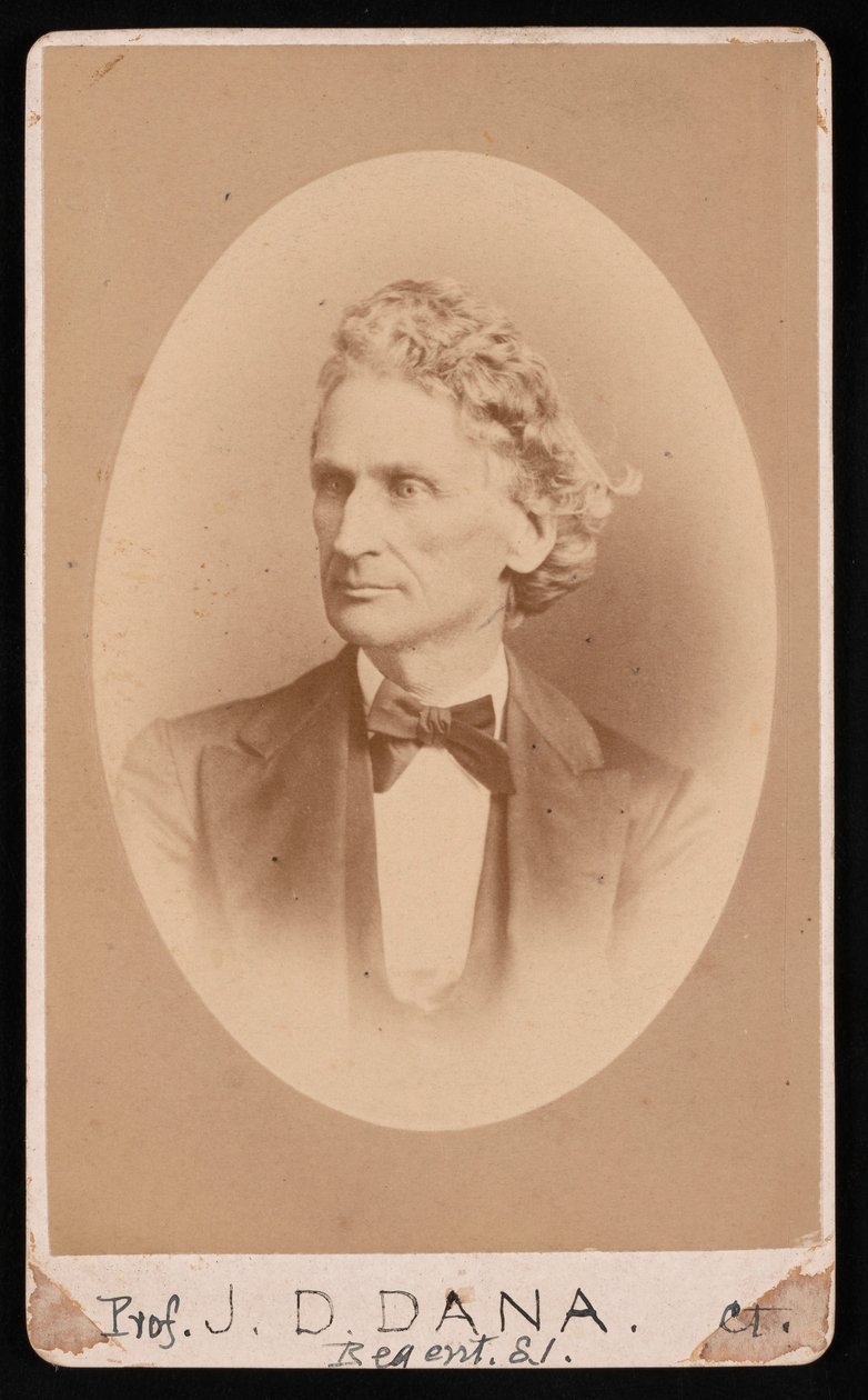 Portrét Jamese Dwighta Dana 1813-1895, před rokem 1891. od William Notman