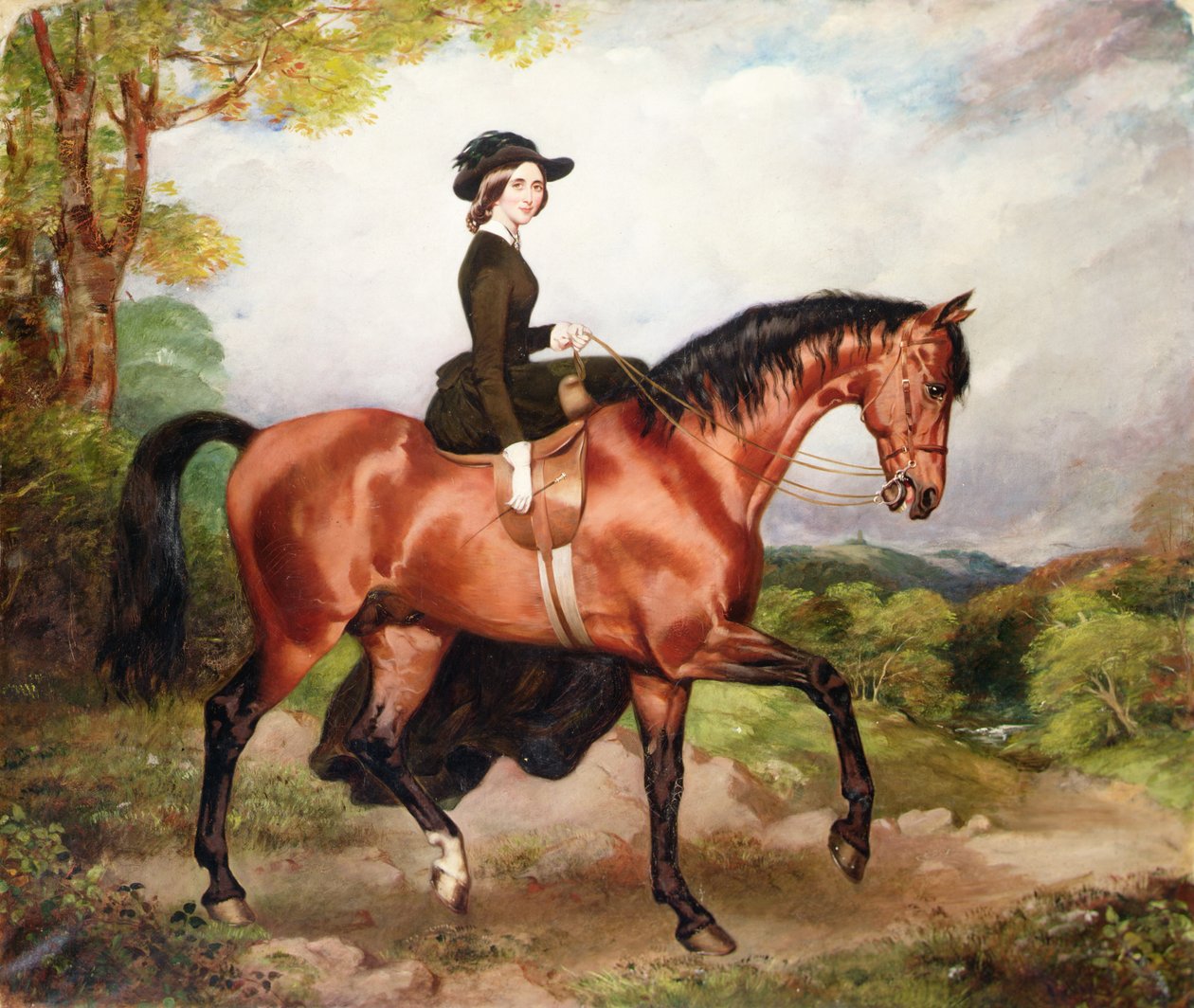 Portrét paní Thomas Conolly z Castletown Co.Kildare (olej na plátně) od William Osbourne