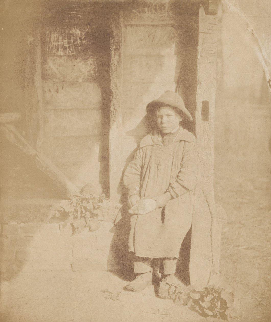 Chlapec loupající tuřín, c. 1854 (foto) od William P Sherlock