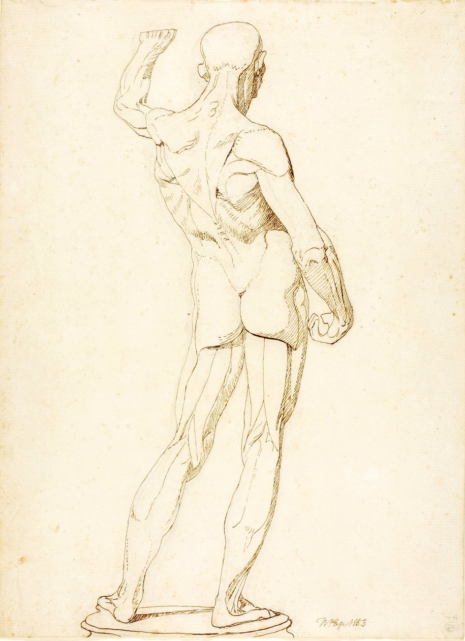 (Ecorche, pohled zezadu) od William Page
