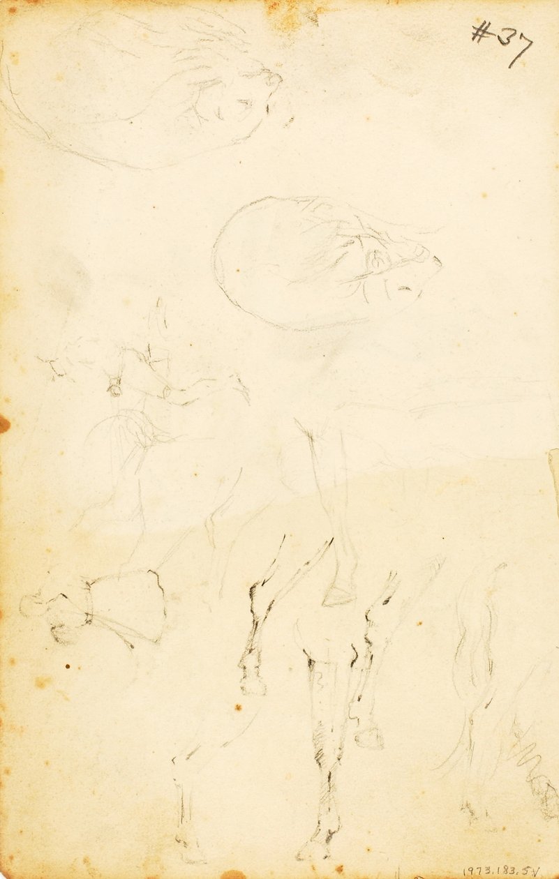 (Studie - postavy, kláda, kůň a jezdec atd.) od William Page
