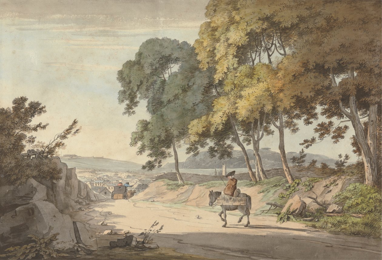 Pohled na Plymouth ze Seven Trees, Exeter Road od William Payne