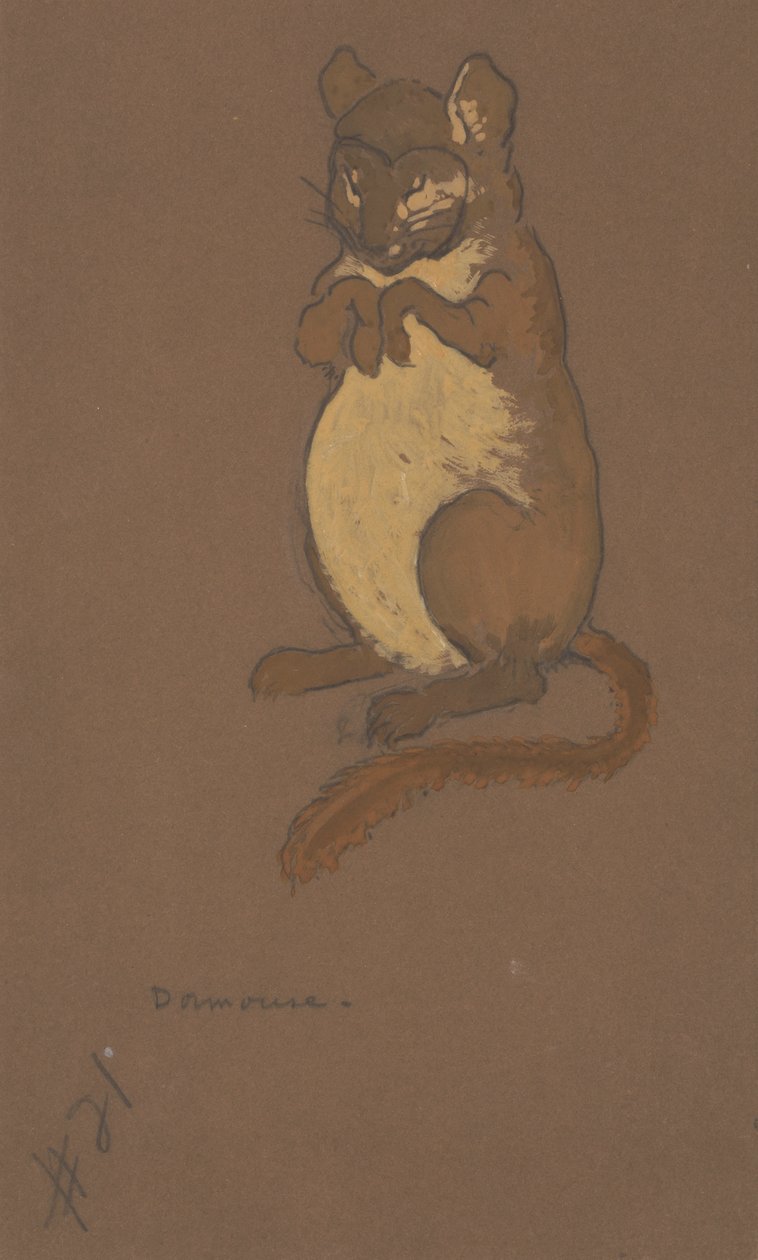 Kostýmní návrh plcha pro Alenku v říši divů, 1915. od William Penhallow Henderson