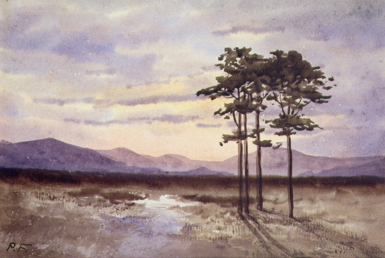 Západ slunce, hrabství Sligo (akvarel na papíře) od William Percy French