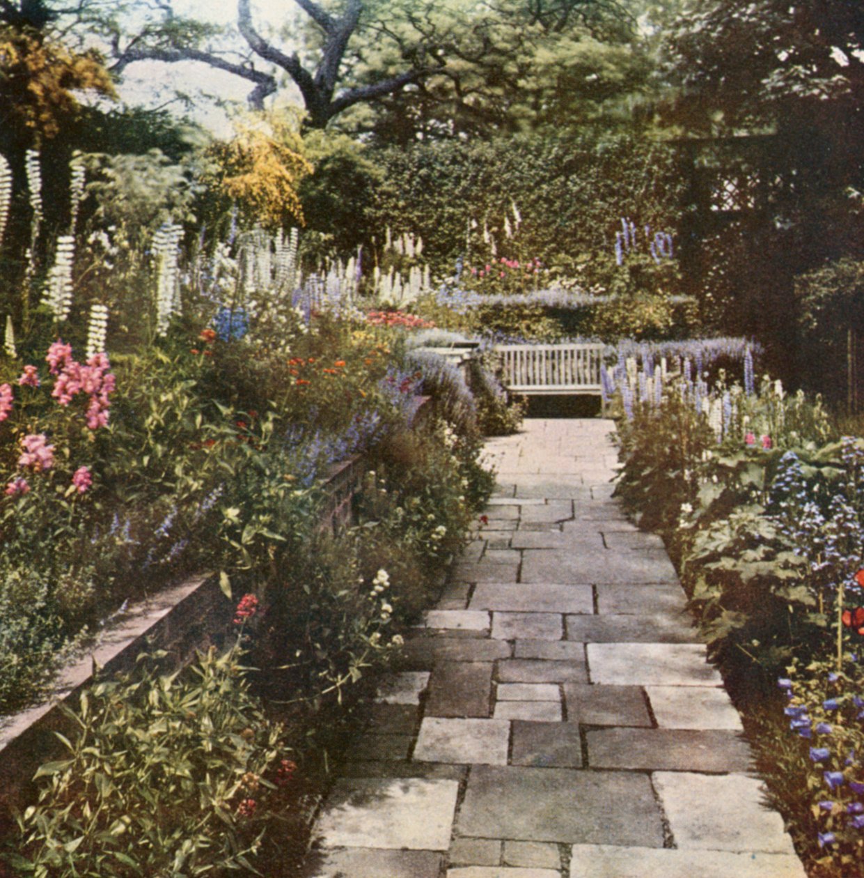  od William Ransford