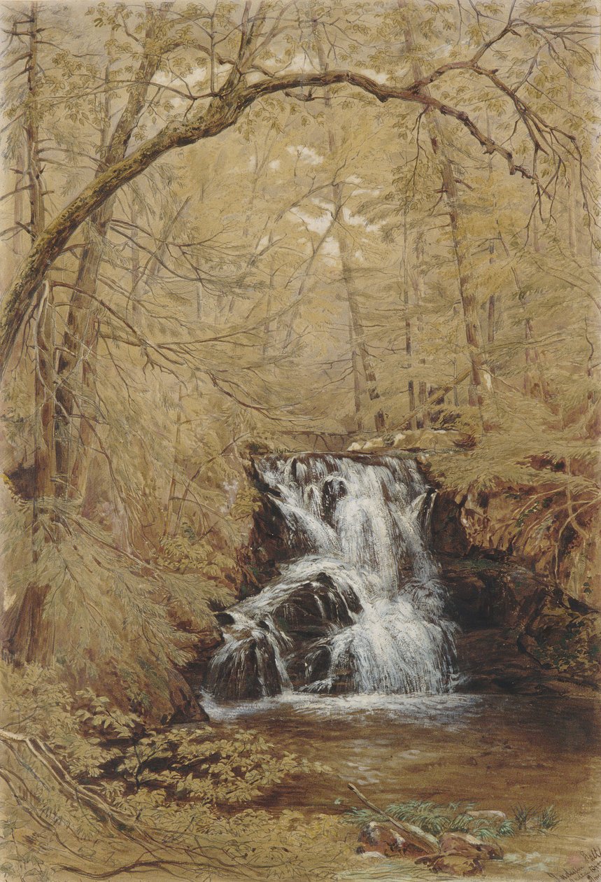 Indian Falls, Indian Brook, Cold Springs, New York, 1850. od William Rickarby Miller