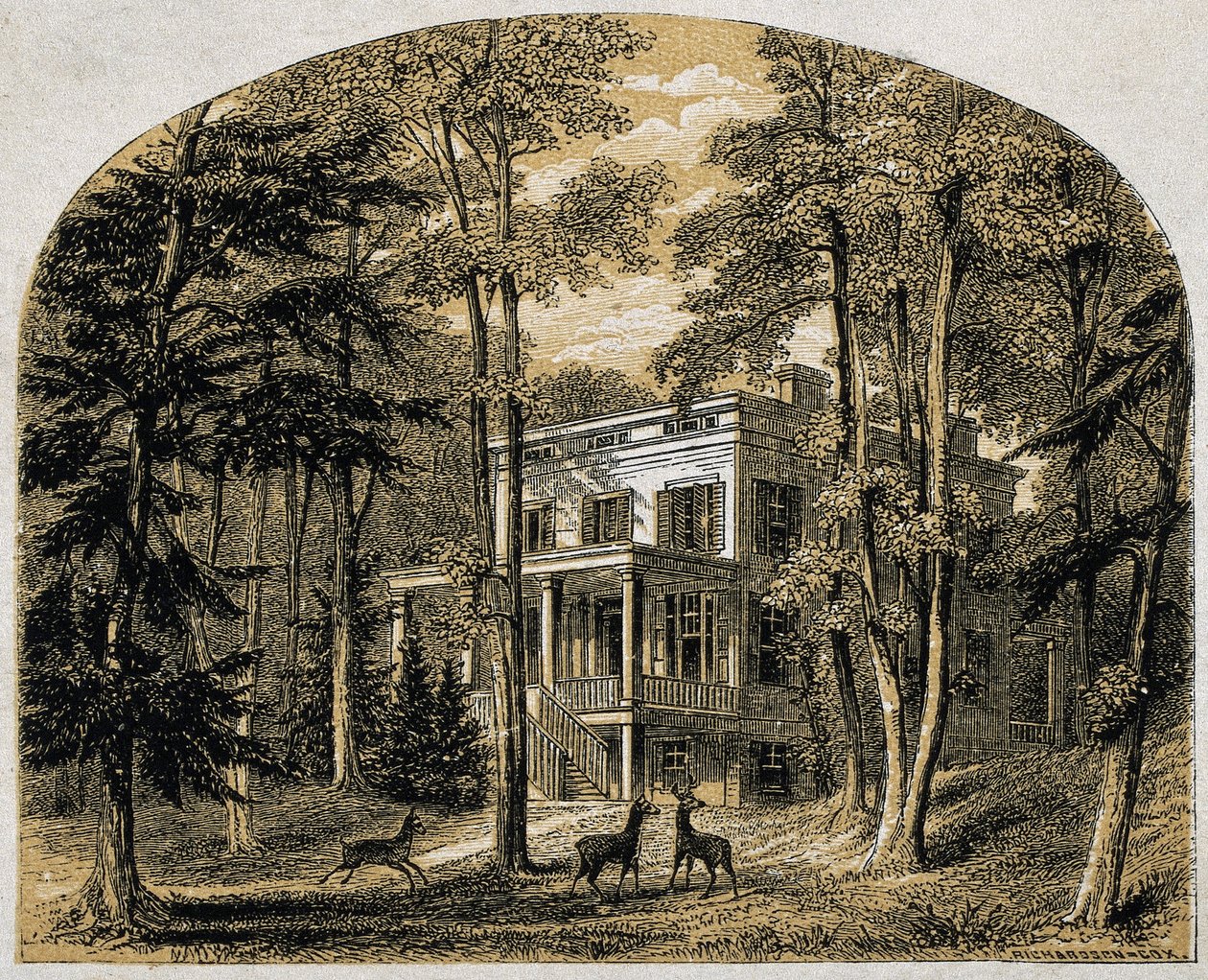Domov Jamese Johna Audubona "Minniesland", hospoda. C 1861 (dřevoryt) od William Rickarby Miller