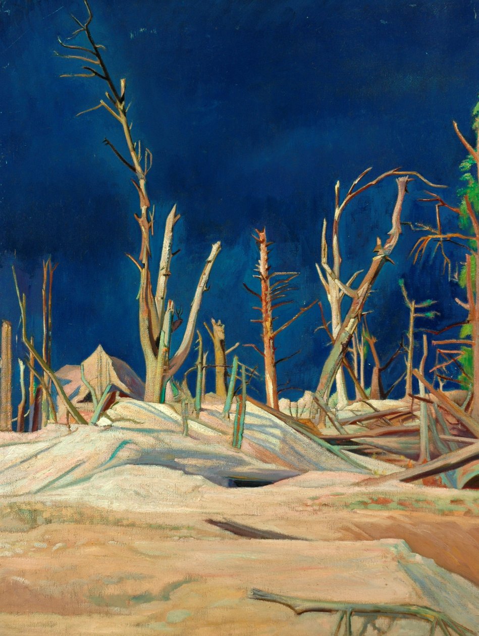 Blasted Trees (olej na plátně) od William Rothenstein