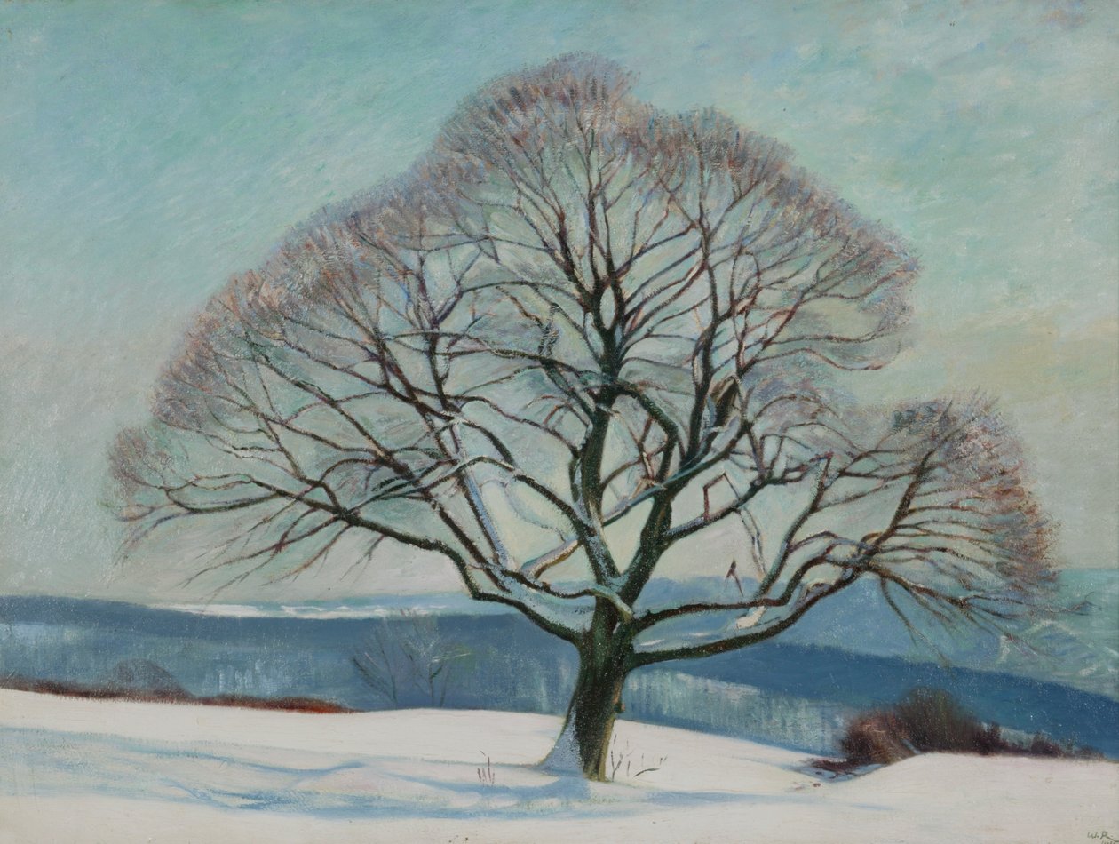 Puu talvella od William Rothenstein
