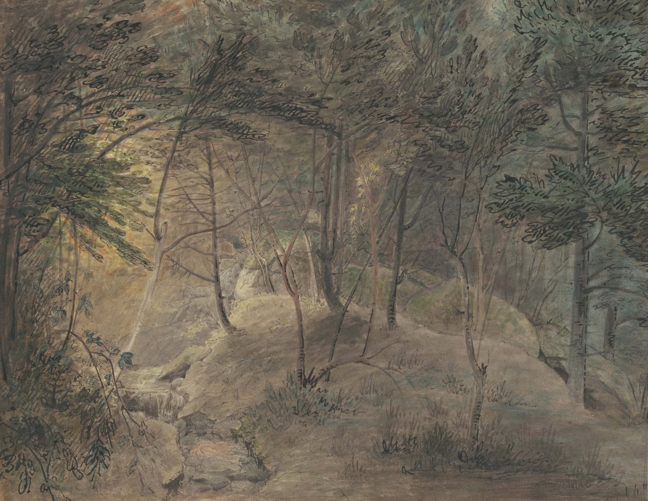 The View from the Springhouse at Echo, c.1808 (akvarel a inkoust na tkaném papíře) od William Russell Birch