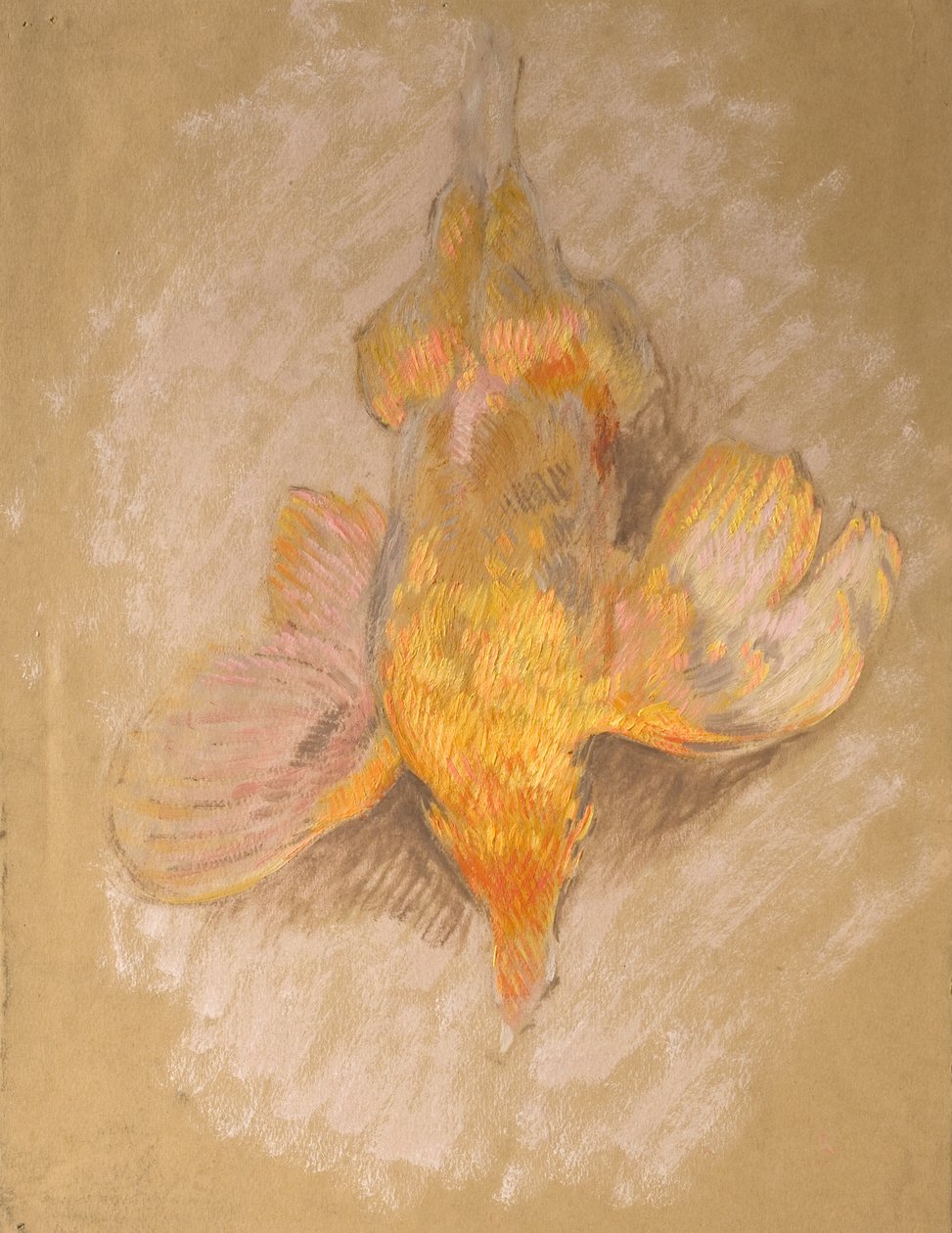 Study of a Fowl for Highland Raiders, kolem roku 1918 (olej na papíře) od William Shackleton
