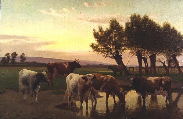 Večer poblíž Amberley od William Sidney Cooper