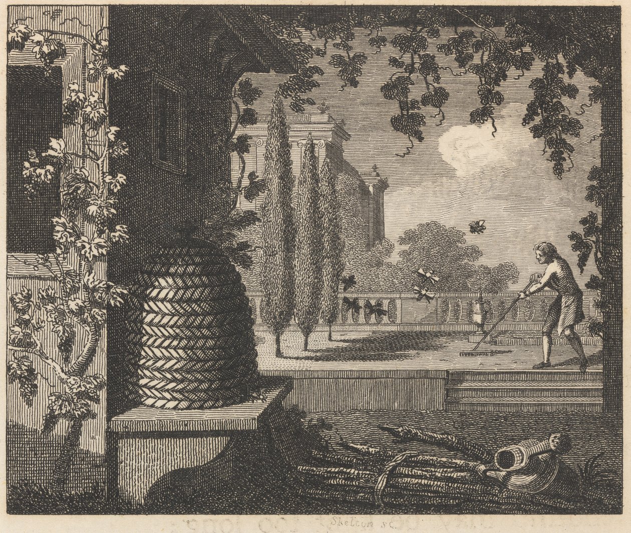 Degenerované včely od William Skelton