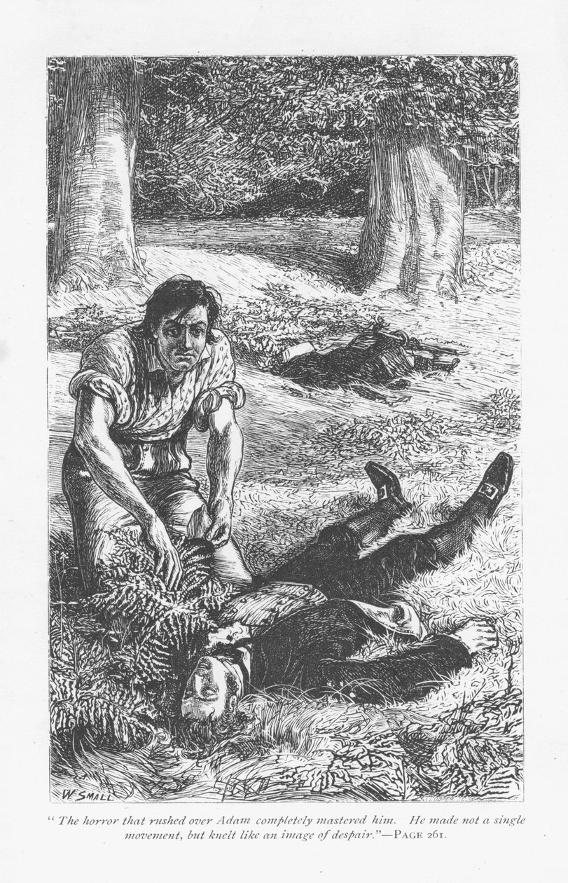 Adam Bede, který v boji překonal Arthura Donnithorna, je zděšen, když vidí svého rivala ležet v bezvědomí. Adam Bede od George Eliota, poprvé publikováno 1859. Ilustrace William Small (1843-1929) z vydání vydaného kolem roku 1885. od William Small