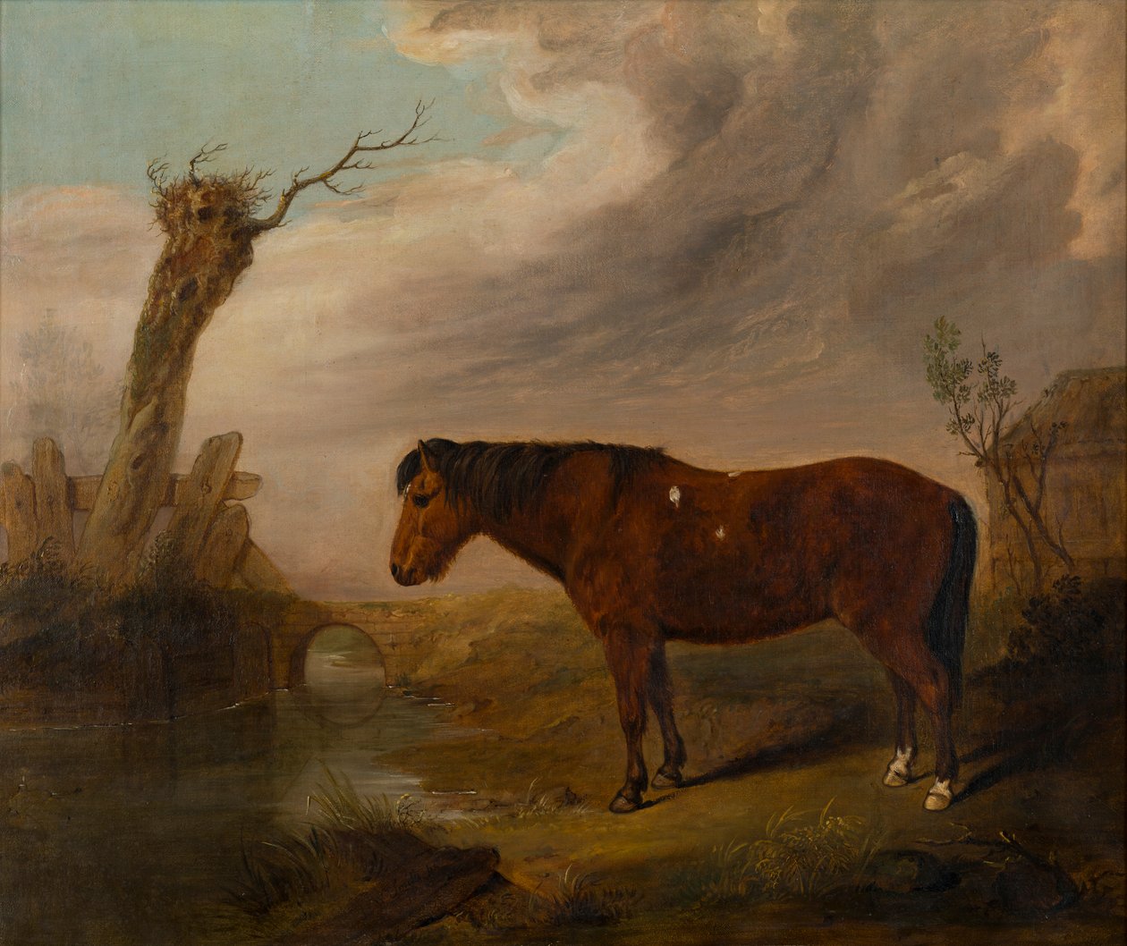 Bay Pony u řeky, kolem roku 1823 (olej na plátně) od William Smith