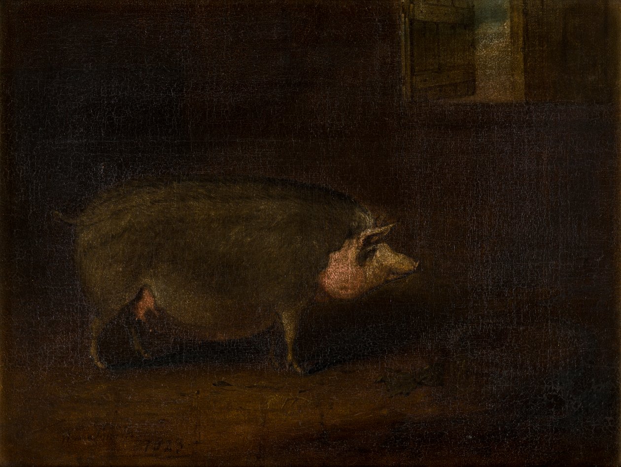 Prase v chlívku, kolem roku 1823 (olej na plátně) od William Smith