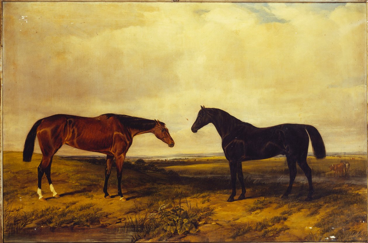 Světlá klisnička a tmavý hnědák hraběte z Granarda, 1885 od William Snr. Luker