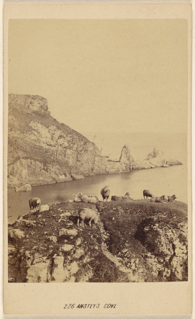 Ansteys Cave. od William Spreat