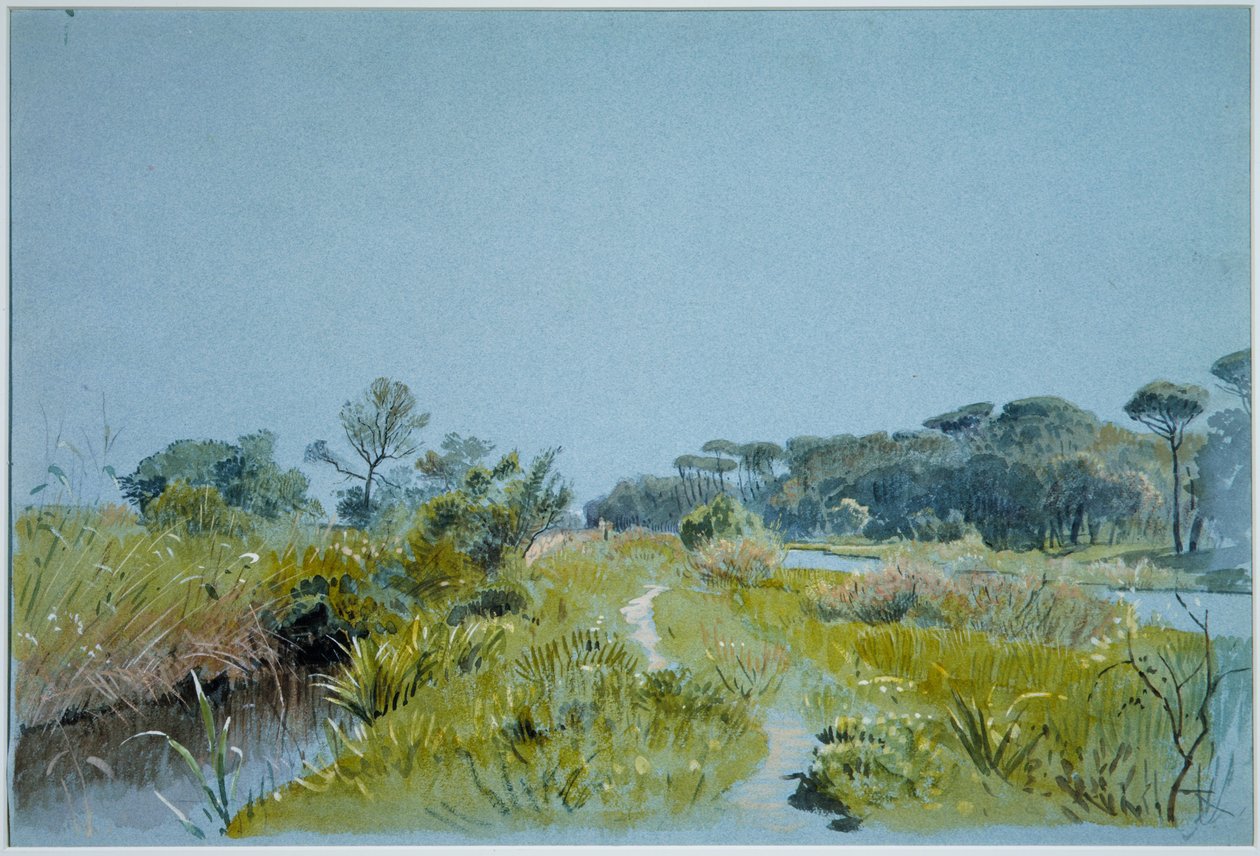 Castel Fusano - poblíž Říma od William Stanley Haseltine