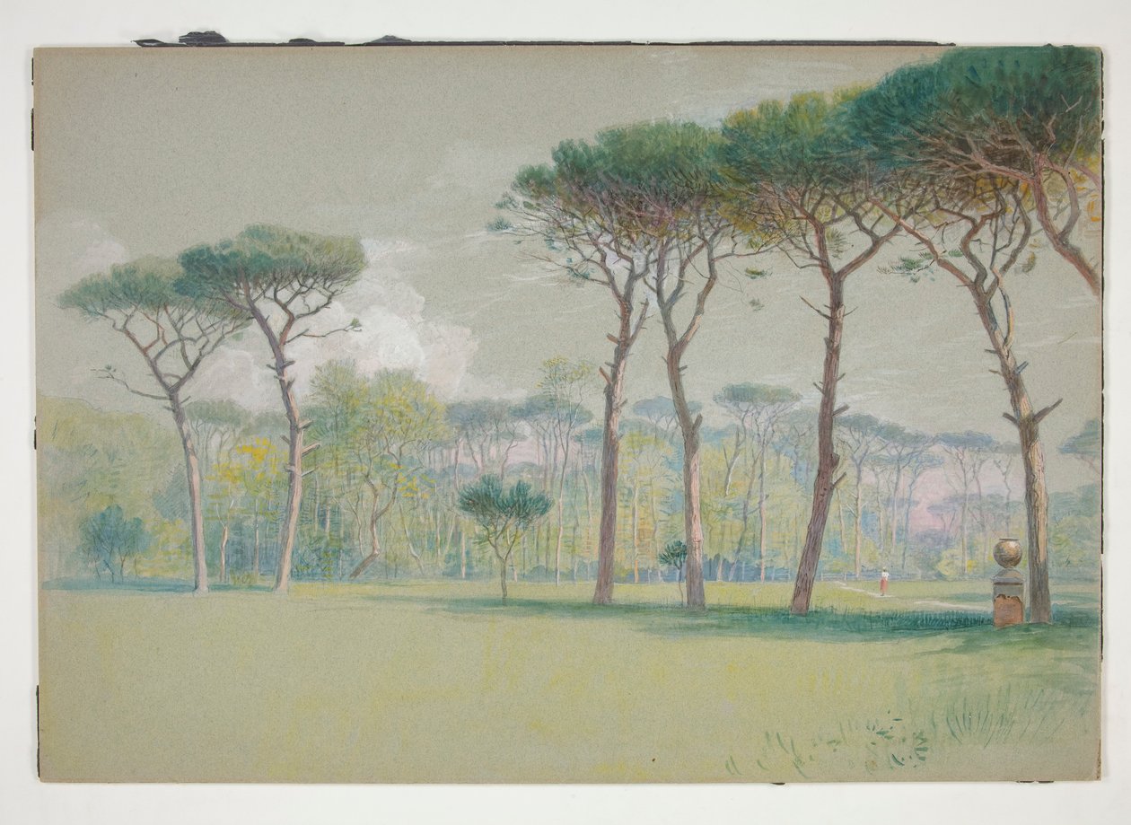 Castel Fusano: Krajina - rozlehlý trávník a stromy od William Stanley Haseltine