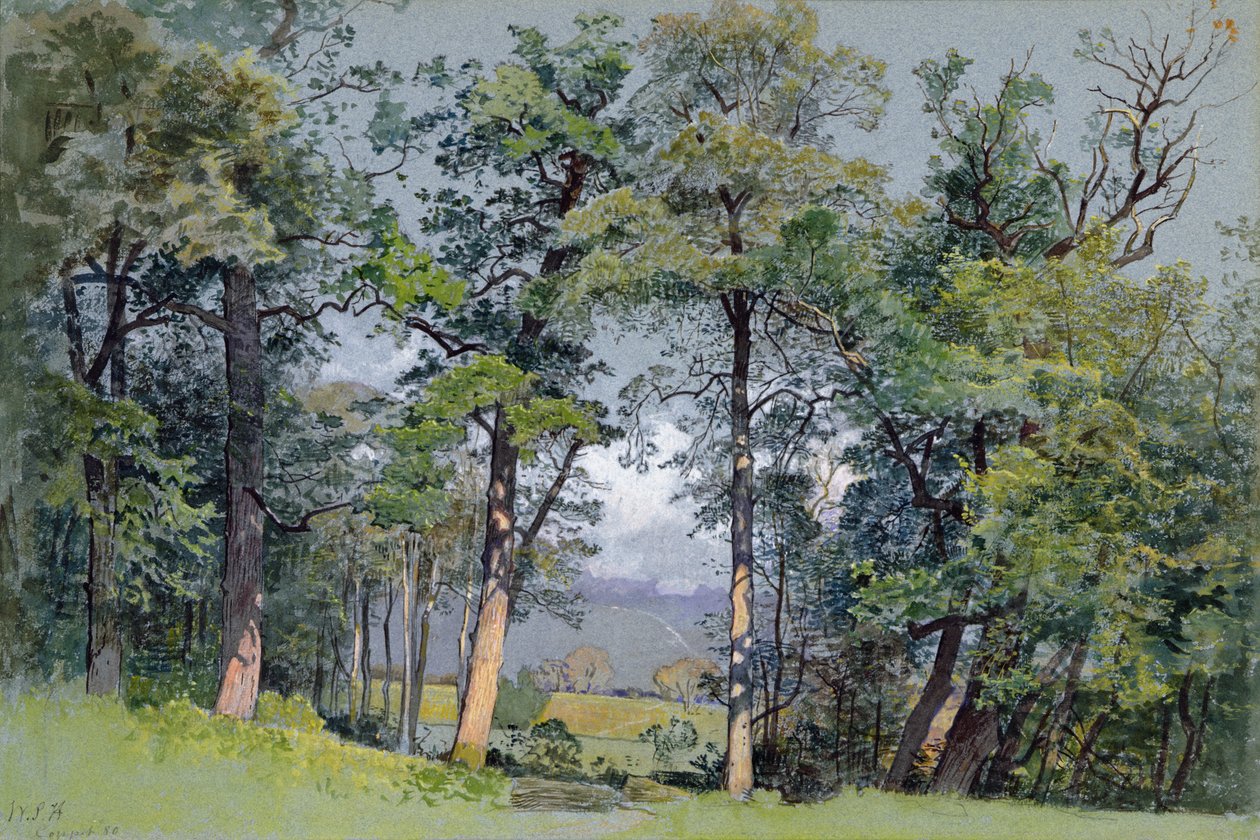 Coppet, Ženevské jezero od William Stanley Haseltine
