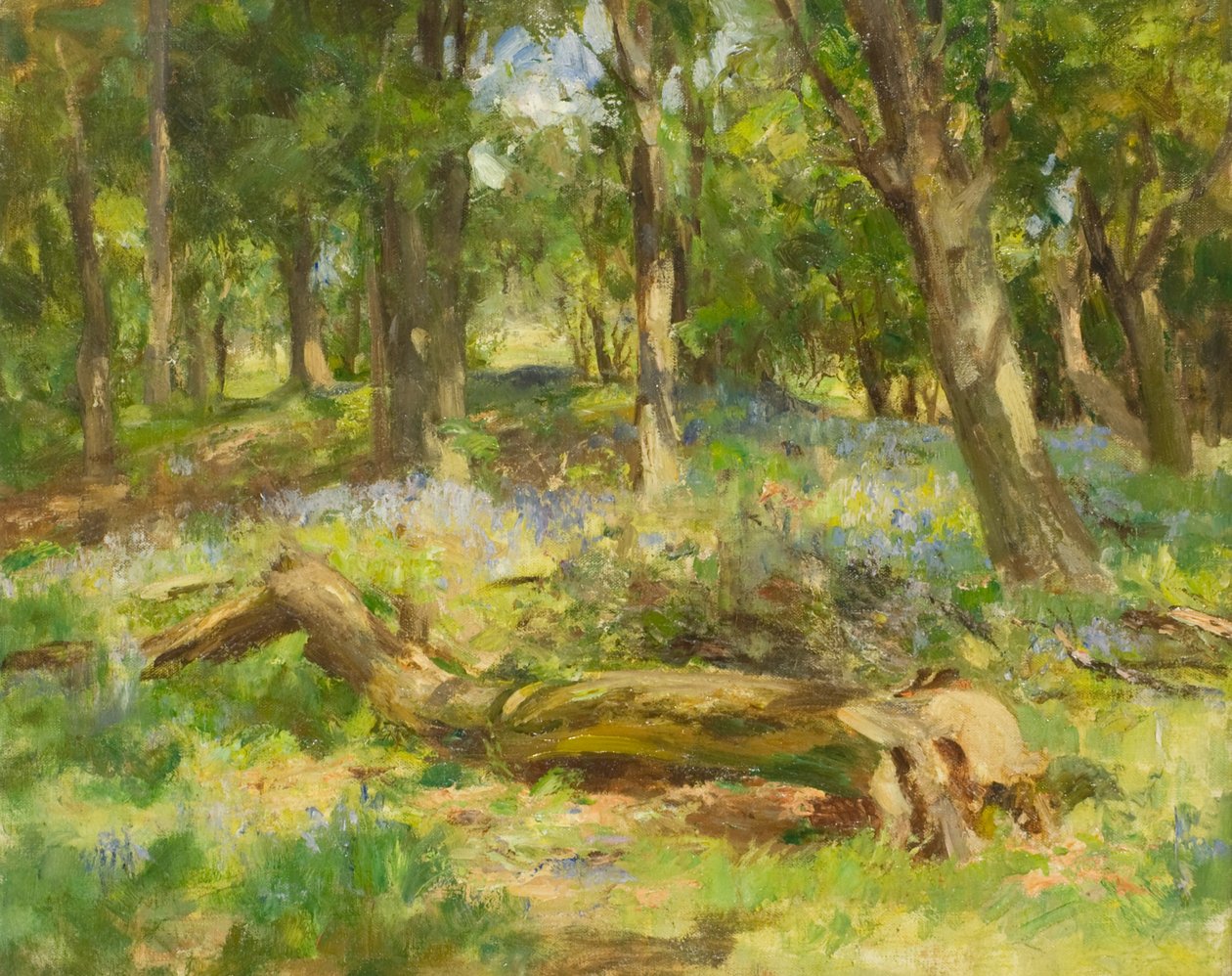 Woodland Scene (olej na plátně) od William Stewart MacGeorge