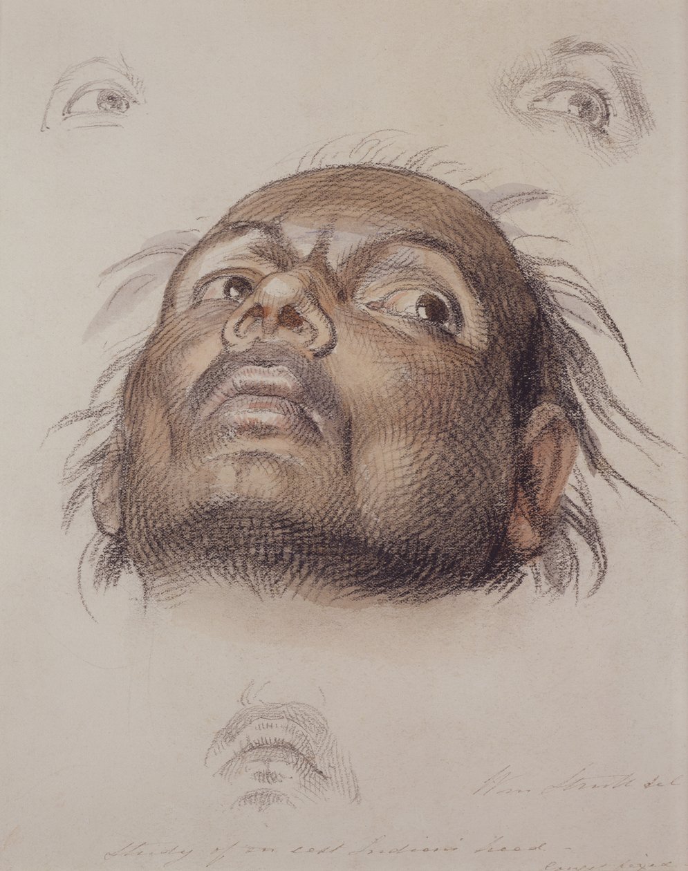 Studie hlavy východního Indiána, kolem roku 1875 (pastel a pero na papíře) od William Strutt