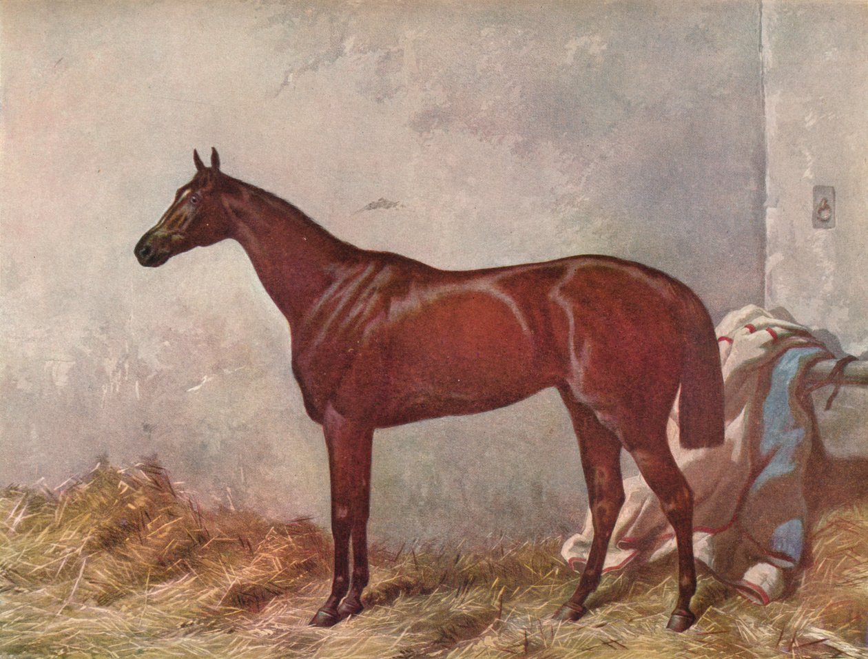 Hermit: vítěz Derby Stakes v Epsom, 1867, 1903 od William Summers