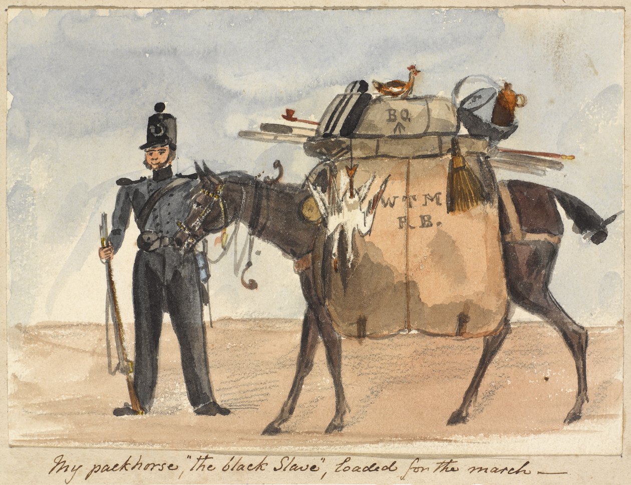 Můj soumarský kůň, černý otrok, nabitý na pochod, kolem roku 1854 (akvarel a tužka na papíře) od William Thomas Markham