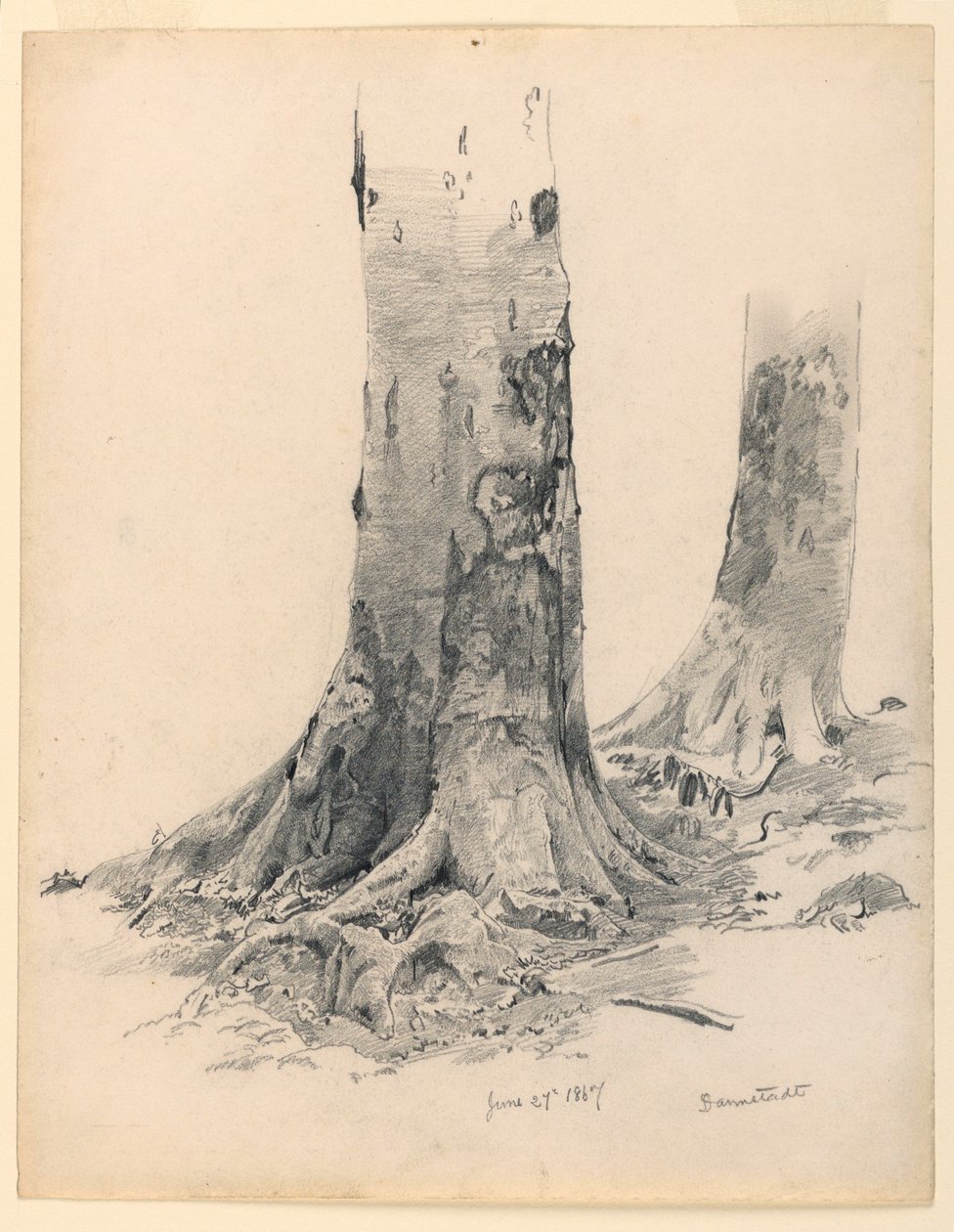 Kresba, Kmeny stromů, Darmstadt, 27. června 1867 od William Trost Richards