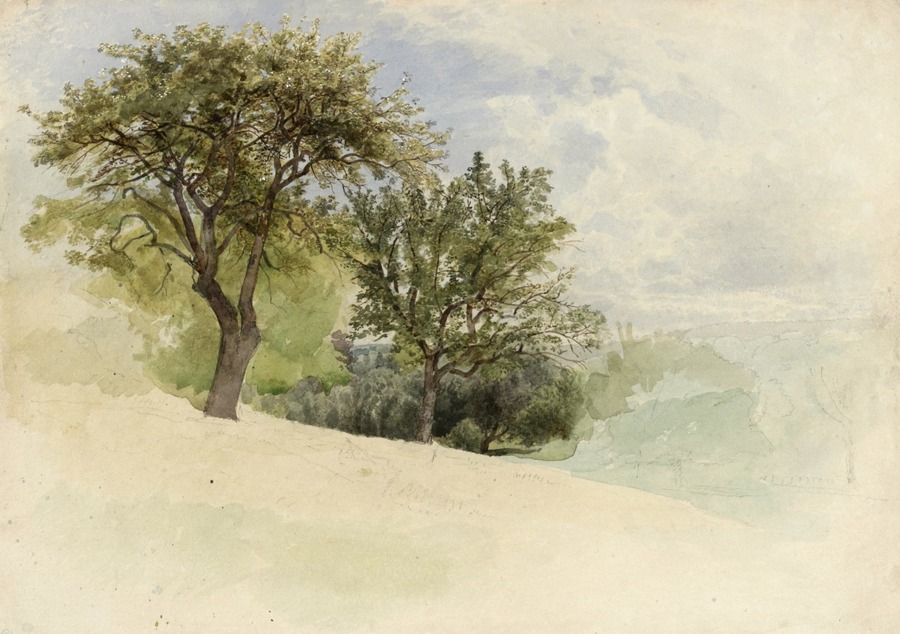 Krajina se stromy na stráni, 1880-85 (wc, grafit a doteky bílého kvaše na krémově silném tkaném papíře) od William Trost Richards