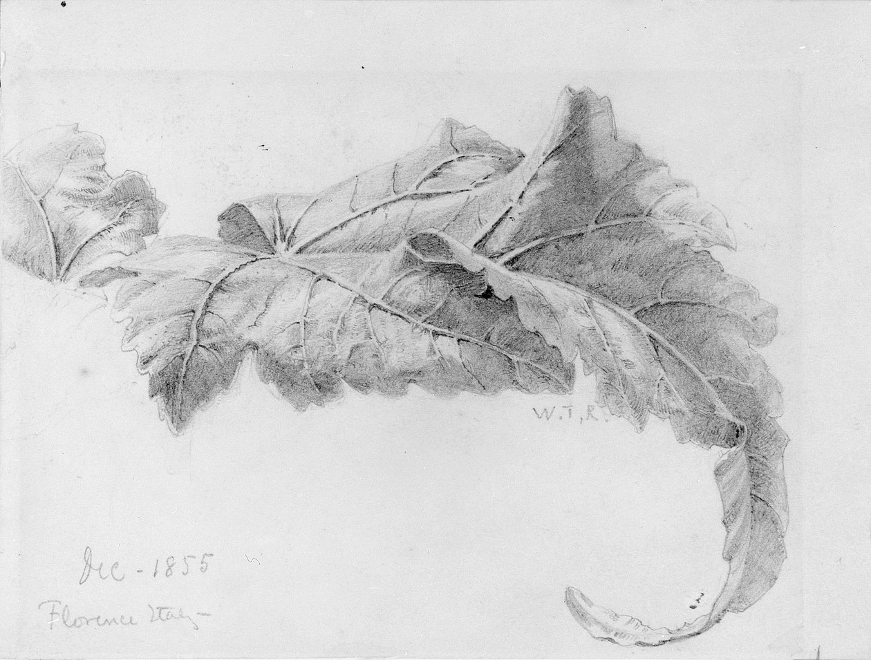 Listy od William Trost Richards