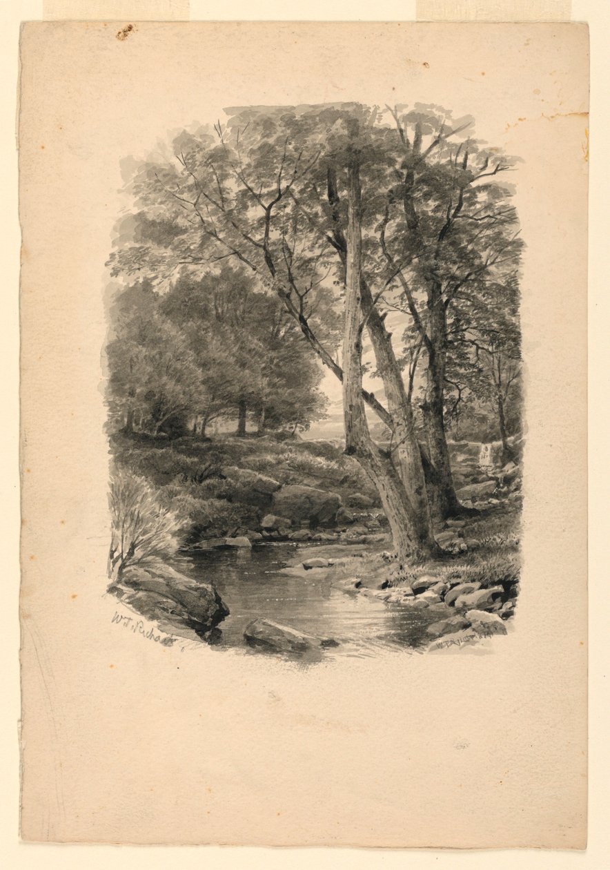 Bazén v lese od William Trost Richards