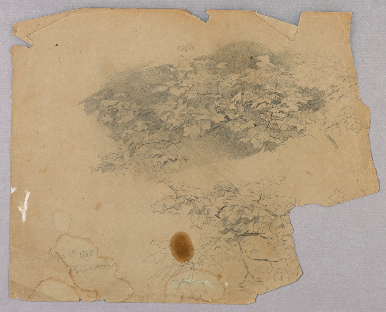 Studium listí od William Trost Richards