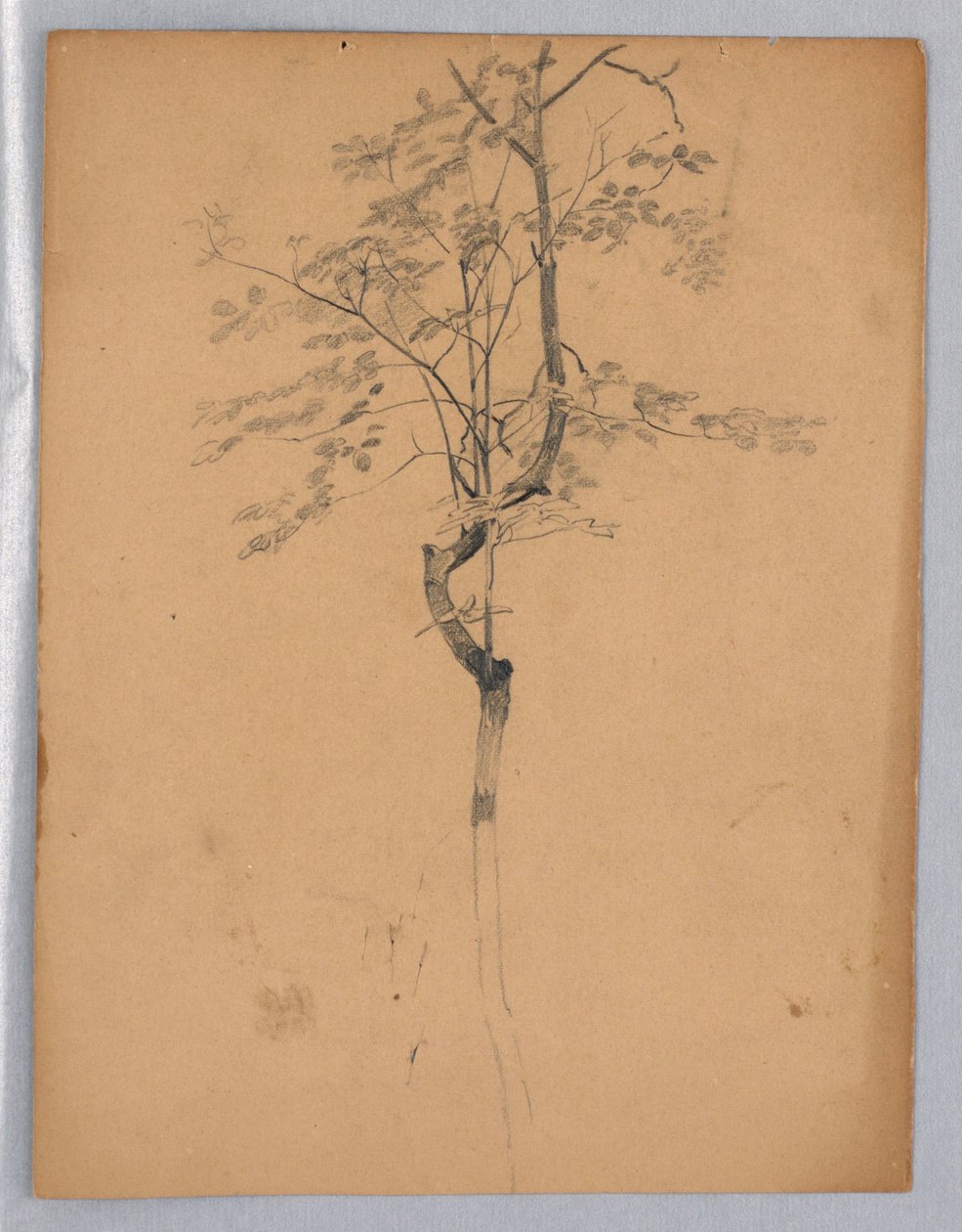 Studium listí od William Trost Richards