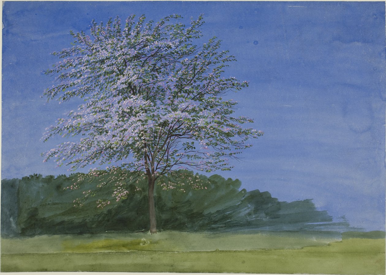 Studie stromu v květu od Joseph Mallord William Turner